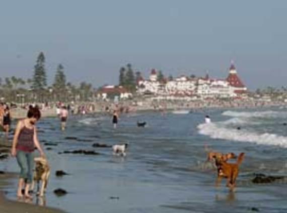 Hillcrest House Bed & Breakfast San Diego Bagian luar foto